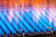 Newton Of Ardtoe gas fired boilers